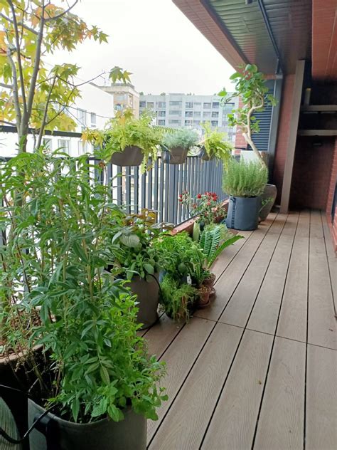 租屋買房 陽台植物設計